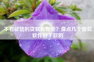 不看征信的贷款有哪些？盘点几个借款软件好下款的