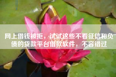 网上借钱被拒，试试这些不看征信和负债的贷款平台借款软件，不容错过