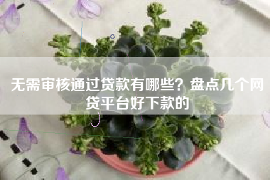 无需审核通过贷款有哪些？盘点几个网贷平台好下款的