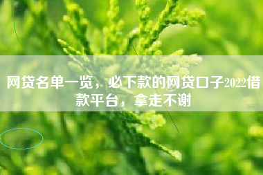 网贷名单一览，必下款的网贷口子2022借款平台，拿走不谢