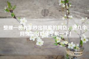 整理一份有车秒出额度的网贷，这几个网贷平台口子了解一下！