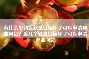 有什么小额贷款是征信坏了可以申请哪些网贷？这几个就是征信坏了可以申请哪些网贷