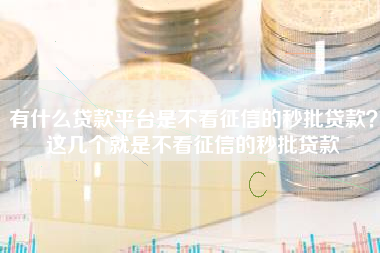 有什么贷款平台是不看征信的秒批贷款？这几个就是不看征信的秒批贷款