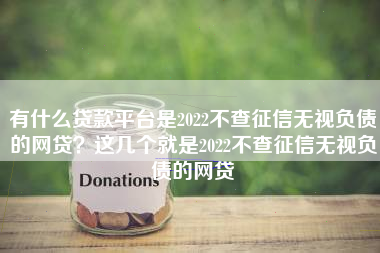 有什么贷款平台是2022不查征信无视负债的网贷？这几个就是2022不查征信无视负债的网贷