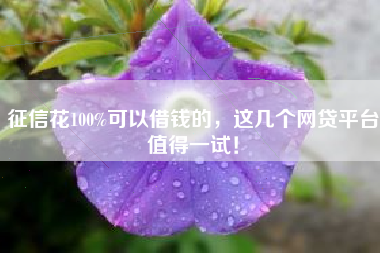 征信花100%可以借钱的，这几个网贷平台值得一试！