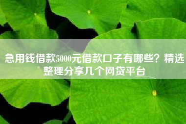 急用钱借款5000元借款口子有哪些？精选整理分享几个网贷平台