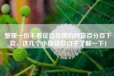 整理一份不看征信负债的网贷百分百下款,这几个小额贷款口子了解一下! 整理一份不看征信负债的网贷百分百下款,这几个小额贷款口子了解一下!