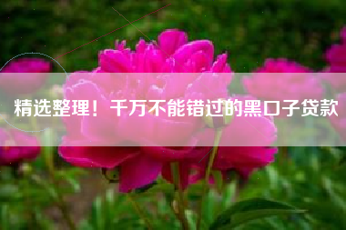 精选整理！千万不能错过的黑口子贷款