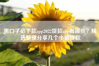 黑口子必下款app2022贷款app有哪些?精选整理分享几个小额贷款 黑口子必下款app2022贷款app有哪些?精选整理分享几个小额贷款