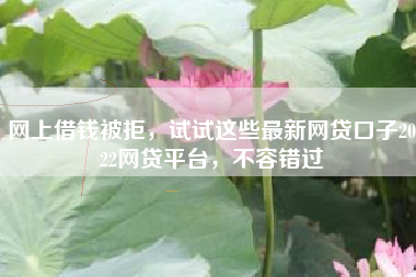 网上借钱被拒,试试这些最新网贷口子2022网贷平台,不容错过 网上借钱被拒,试试这些最新网贷口子2022网贷平台,不容错过