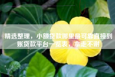 精选整理，小额贷款哪里最可靠直接到账贷款平台一览表，拿走不谢