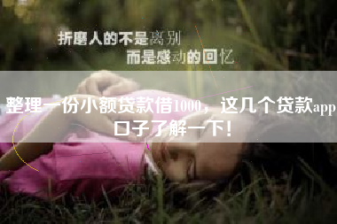 整理一份小额贷款借1000,这几个贷款app口子了解一下! 整理一份小额贷款借1000,这几个贷款app口子了解一下!