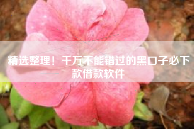 精选整理！千万不能错过的黑口子必下款借款软件