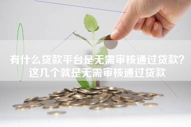 有什么贷款平台是无需审核通过贷款?这几个就是无需审核通过贷款 有什么贷款平台是无需审核通过贷款?这几个就是无需审核通过贷款