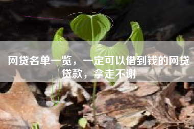 网贷名单一览，一定可以借到钱的网贷贷款，拿走不谢