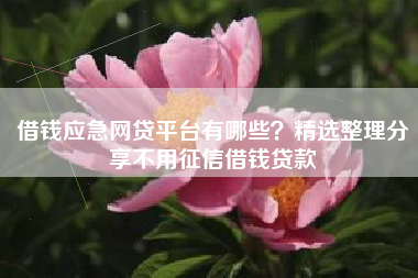 借钱应急网贷平台有哪些？精选整理分享不用征信借钱贷款