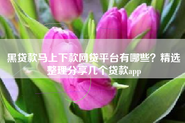 黑贷款马上下款网贷平台有哪些？精选整理分享几个贷款app