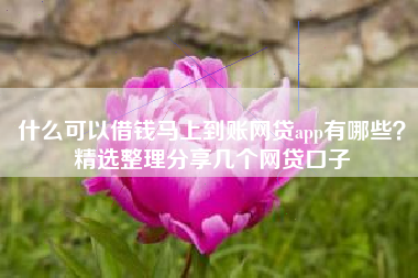 什么可以借钱马上到账网贷app有哪些？精选整理分享几个网贷口子