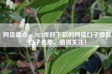 网贷盘点,2022年好下款的网贷口子借款口子名单,值得关注! 网贷盘点,2022年好下款的网贷口子借款口子名单,值得关注!