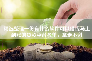 精选整理一份有什么软件可以借钱马上到账的贷款平台名单,拿走不谢 精选整理一份有什么软件可以借钱马上到账的贷款平台名单,拿走不谢
