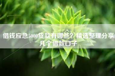 借钱应急5000贷款有哪些？精选整理分享几个借款口子