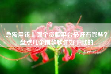急需用钱上哪个贷款平台最好有哪些？盘点几个借款软件好下款的