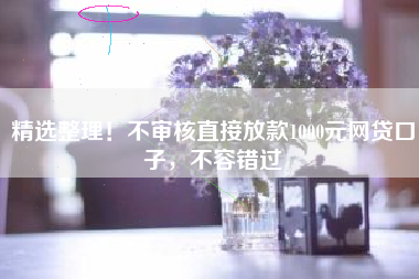 精选整理！不审核直接放款1000元网贷口子，不容错过