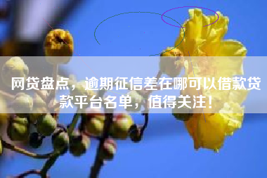 网贷盘点，逾期征信差在哪可以借款贷款平台名单，值得关注！