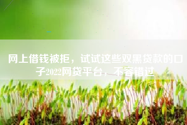 网上借钱被拒，试试这些双黑贷款的口子2022网贷平台，不容错过