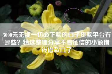 3000元无视一切必下款的口子贷款平台有哪些?精选整理分享不看征信的小额借钱借款口子 3000元无视一切必下款的口子贷款平台有哪些?精选整理分享不看征信的小额借钱借款口子