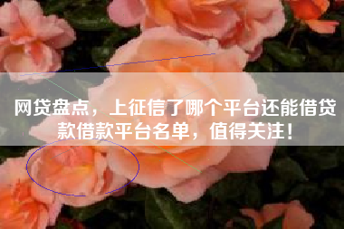 网贷盘点,上征信了哪个平台还能借贷款借款平台名单,值得关注! 网贷盘点,上征信了哪个平台还能借贷款借款平台名单,值得关注!