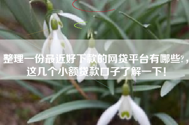 整理一份最近好下款的网贷平台有哪些?，这几个小额贷款口子了解一下！