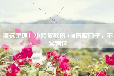精选整理!小额贷款借1000借款口子,不容错过 精选整理!小额贷款借1000借款口子,不容错过