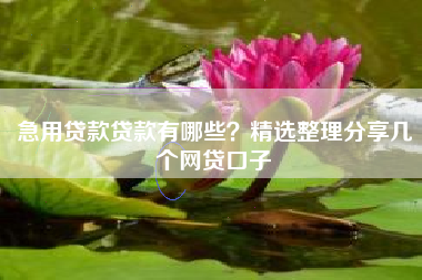 急用贷款贷款有哪些?精选整理分享几个网贷口子 急用贷款贷款有哪些?精选整理分享几个网贷口子