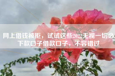 网上借钱被拒,试试这些2022无视一切必下款口子借款口子,不容错过 网上借钱被拒,试试这些2022无视一切必下款口子借款口子,不容错过