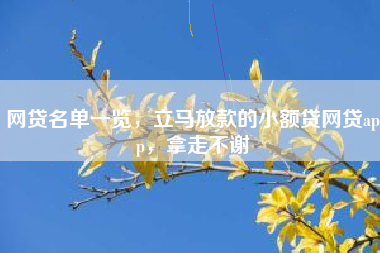 网贷名单一览，立马放款的小额贷网贷app，拿走不谢