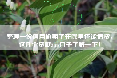 整理一份信用逾期了在哪里还能借贷，这几个贷款app口子了解一下！