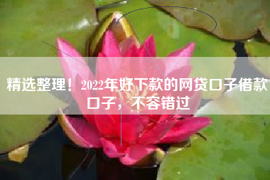 精选整理！2022年好下款的网贷口子借款口子，不容错过