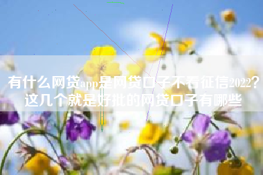 有什么网贷app是网贷口子不看征信2022？这几个就是好批的网贷口子有哪些
