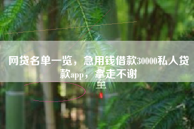 网贷名单一览，急用钱借款30000私人贷款app，拿走不谢