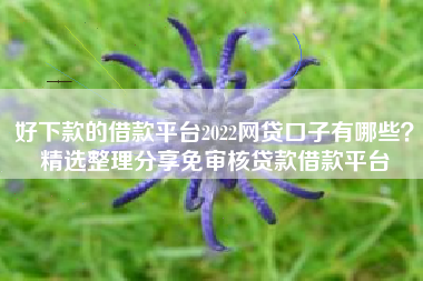好下款的借款平台2022网贷口子有哪些？精选整理分享免审核贷款借款平台