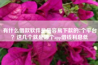 有什么借款软件是最容易下款的7个平台？这几个就是哪个app借钱利息低