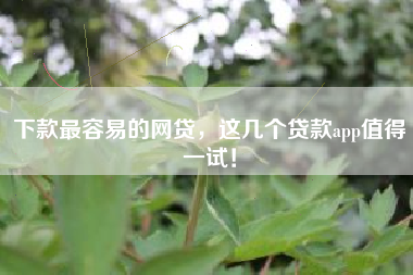 下款最容易的网贷，这几个贷款app值得一试！