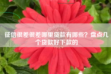 征信很差很差哪里贷款有哪些？盘点几个贷款好下款的