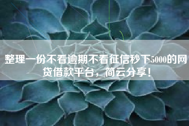 整理一份不看逾期不看征信秒下5000的网贷借款平台，简云分享！