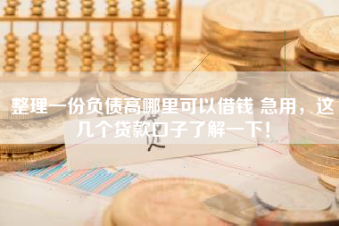 整理一份负债高哪里可以借钱 急用，这几个贷款口子了解一下！