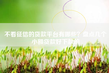 不看征信的贷款平台有哪些？盘点几个小额贷款好下款的