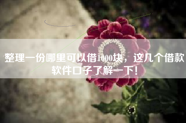 整理一份哪里可以借1000块，这几个借款软件口子了解一下！