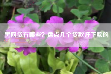 黑网贷有哪些？盘点几个贷款好下款的