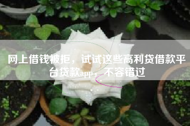 网上借钱被拒，试试这些高利贷借款平台贷款app，不容错过